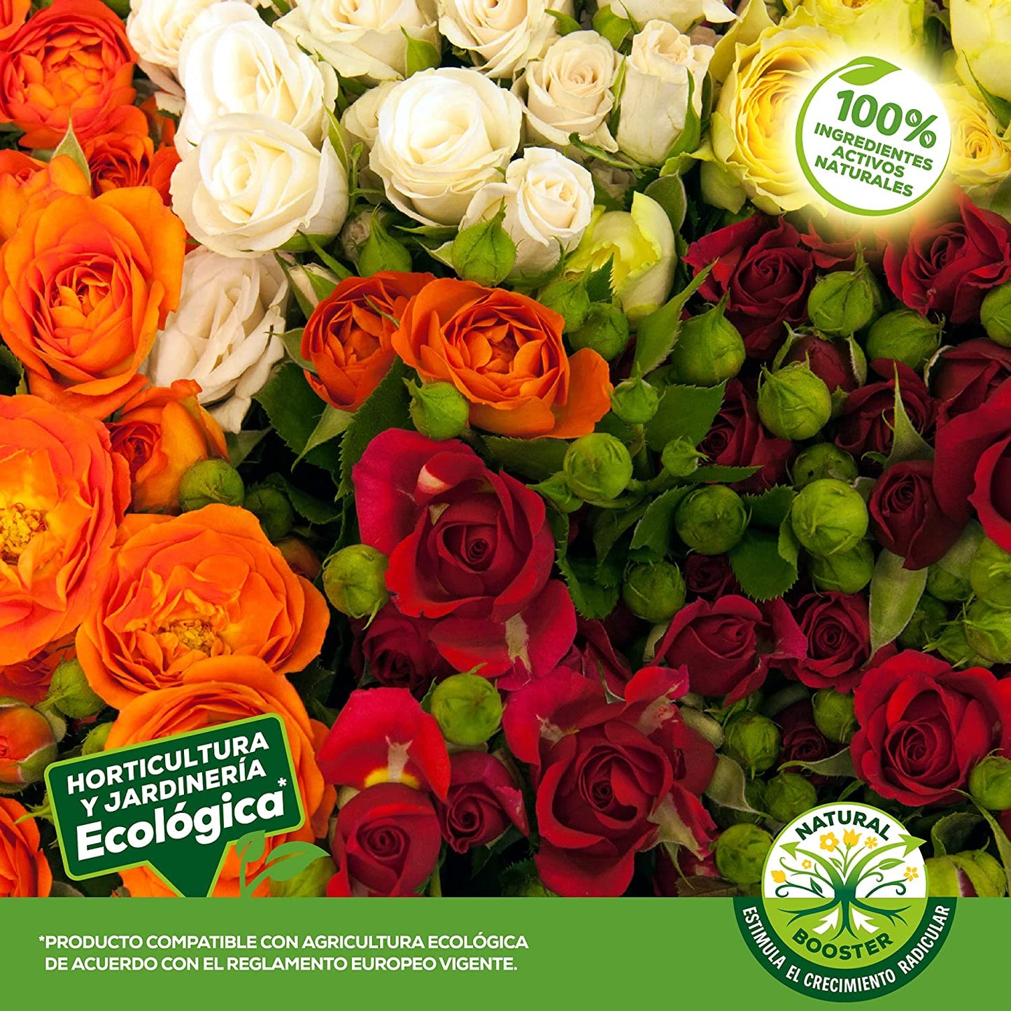 Solabiol fertilizante completo, para rosales y plantas de flor.