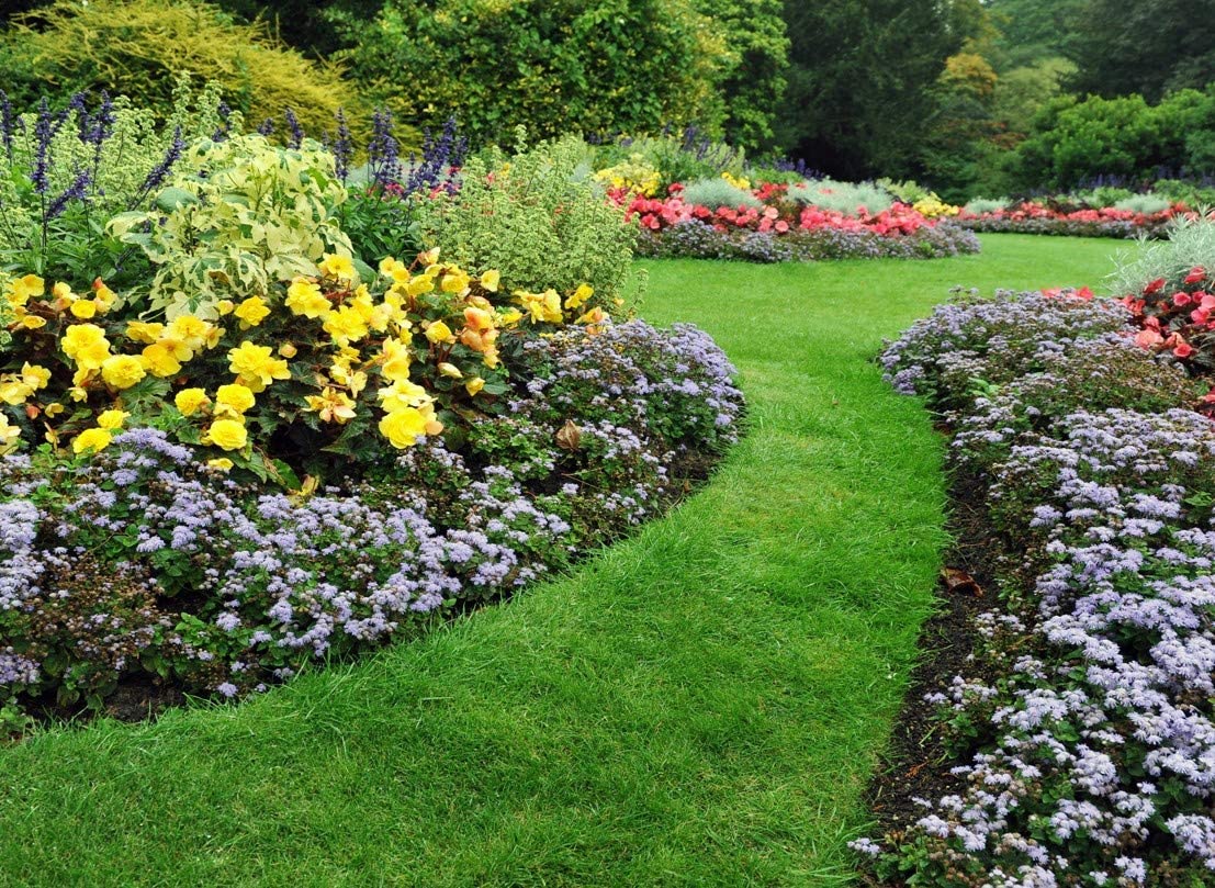 Solabiol fertilizante completo, para rosales y plantas de flor.