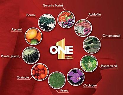 Fertilizante universal concentrado -ONE-