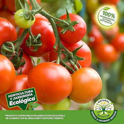 Solabiol fertilizante para tomates